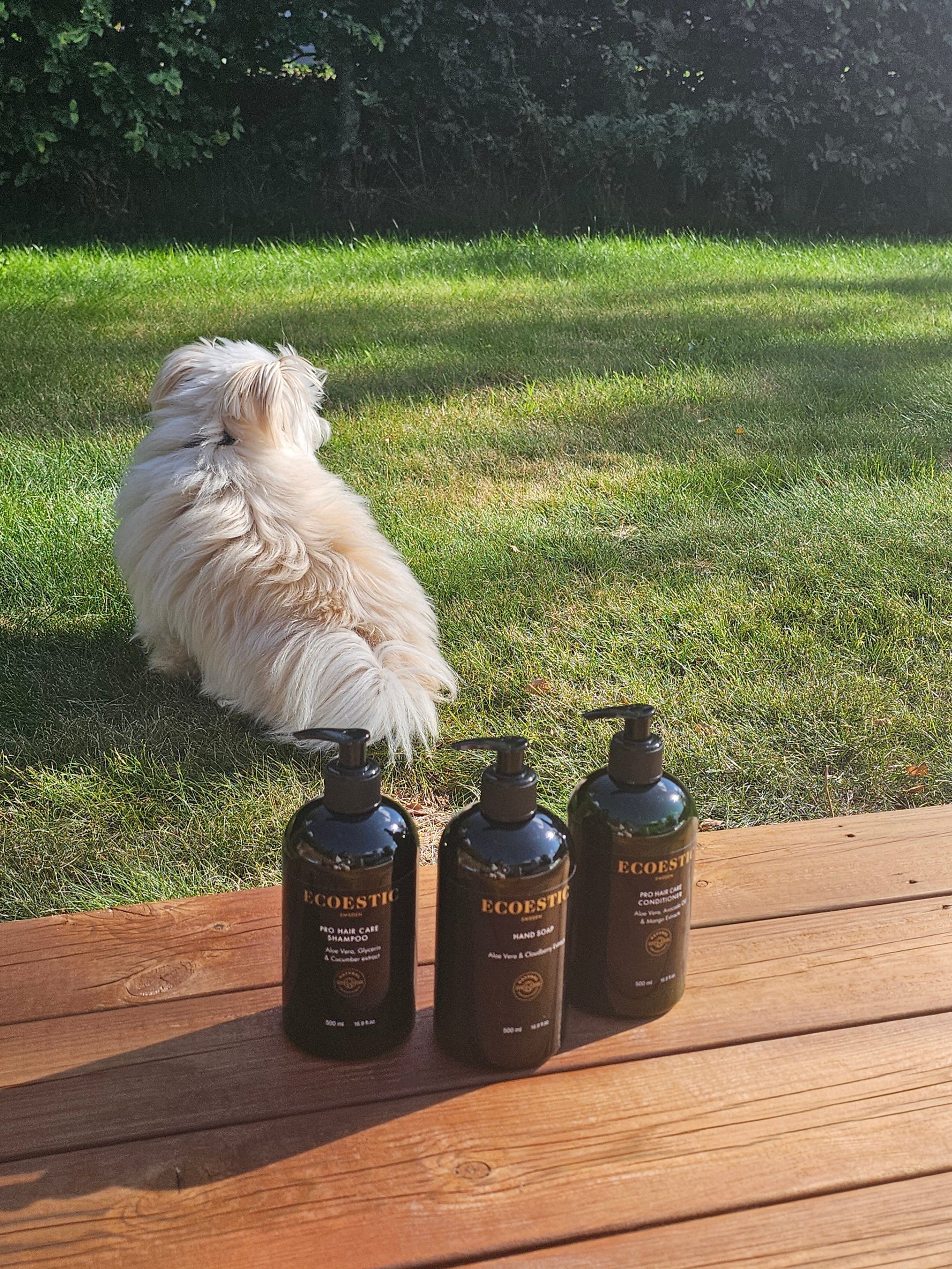 Ecoestic introducerar Svanenmärkta produkter – Perfekt för dig med känslig hud eller doftallergi - Ecoestic Sweden