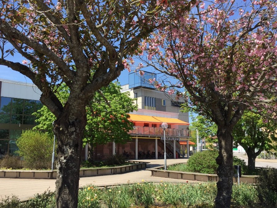 Hotell Hulingen väljer Ecoestic som hotellleverantör av hårprodukter - Ecoestic Sweden